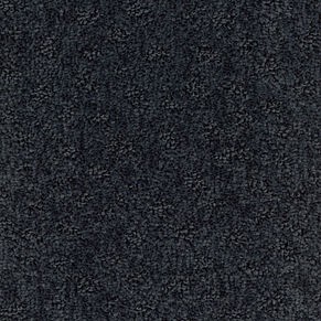 Anker Teppichboden ELYSEE POINT 000010-901 Bahnenware