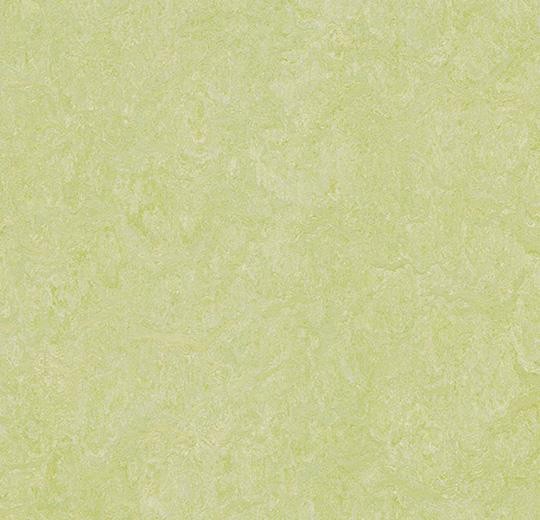 Forbo Marmoleum REAL - 3881 green wellness Linoleum Bahnenware 2,5 mm