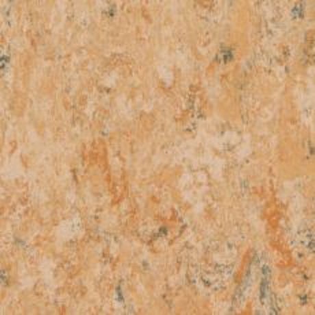 Tarkett Veneto xf² 2,5 mm - camel 14172616 Linoleum Bahnware