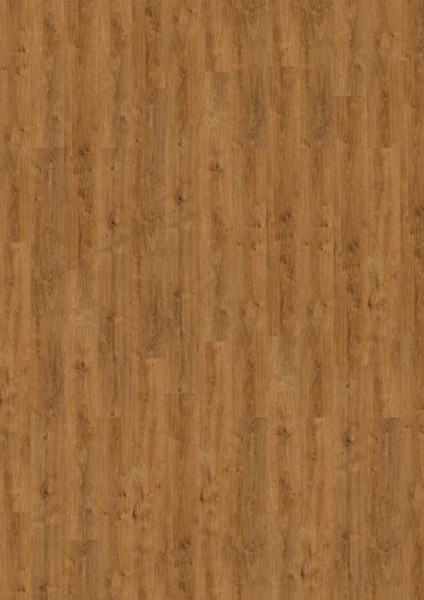 Expona Commercial - Farbe 4086 Honey Classic Oak