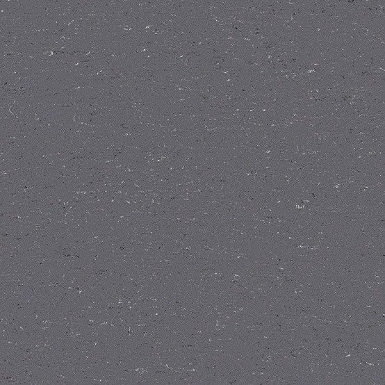 DLW COLORETTE NEOCARE™ - 0080 Elephant Grey Linoleum Bahnware 2,5 mm