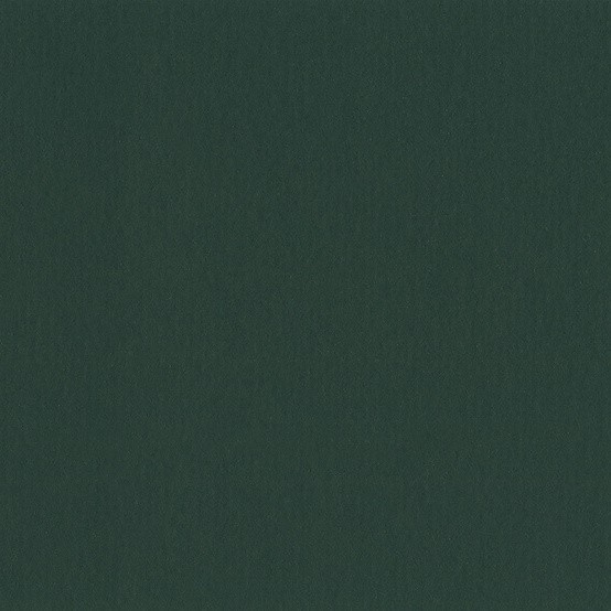 Gerflor DLW Uni Walton NEOCARE™ - 0035 Racing Green Linoleum Bahnware 2,5 mm