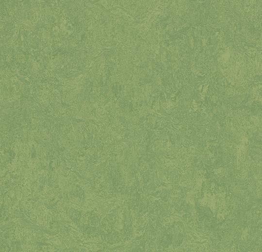 Forbo Marmoleum FRESCO - 3260 leaf Linoleum Bahnenware 2,5 mm