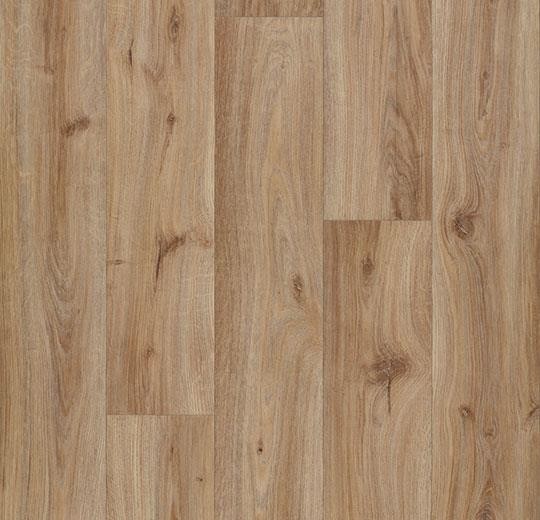 Vinylboden Forbo Eternal wood Bahnware - 10832 hazelnut oak