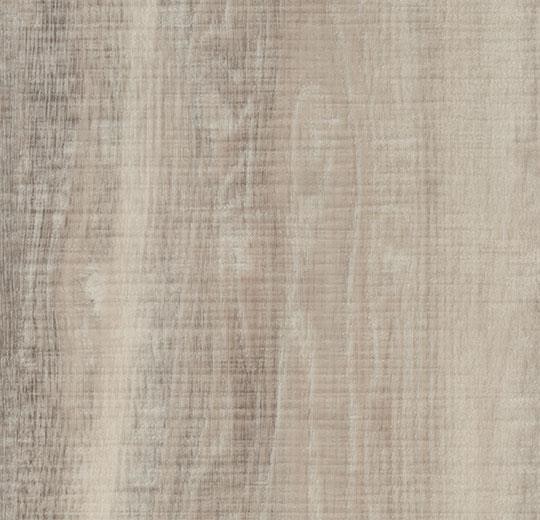 Forbo Allura Dryback Wood 0,55 mm - 60151 white raw timber