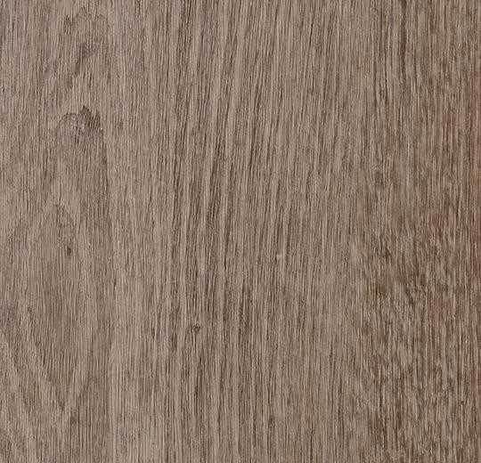 Forbo Enduro Click - 69137CL3 natural grey oak Designplanken