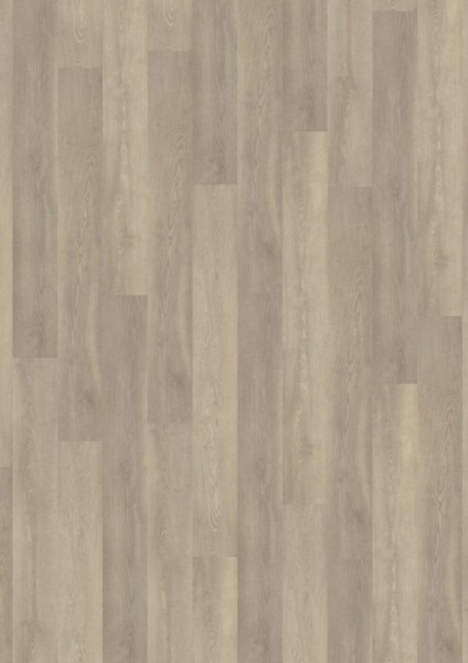 Expona Commercial - Farbe 4134 China Oak