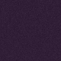 Heidelbeer 1206 Heidelbeer 1206