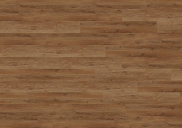 wineo 800 wood XL - DB839WXL Stavanger Oak Brown
