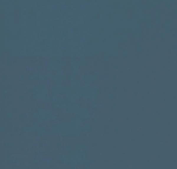 Denim 4005
