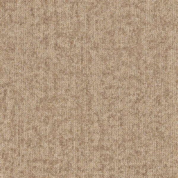 Tarkett/DESSO Essence Roots - AD08 2032 - Art.-Nr.: 712137002