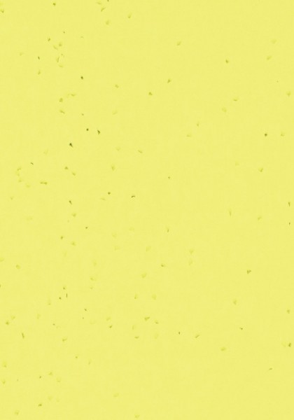 Forbo Sphera Energetic - 50260 lemon