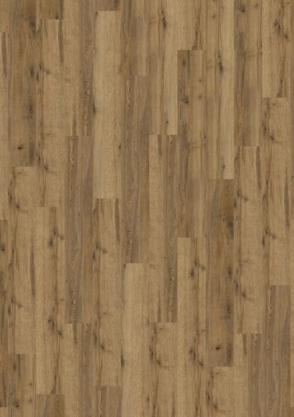 Expona Commercial - Farbe 4101 Everglade Oak