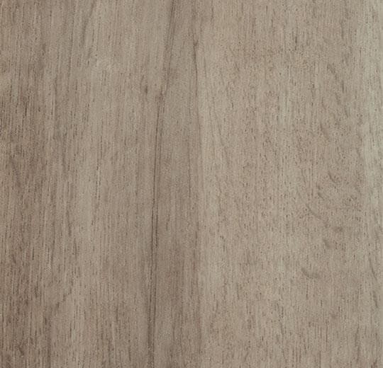 Forbo Allura Click 0,55 mm 60356CL5 grey autumn oak wood Designplanken