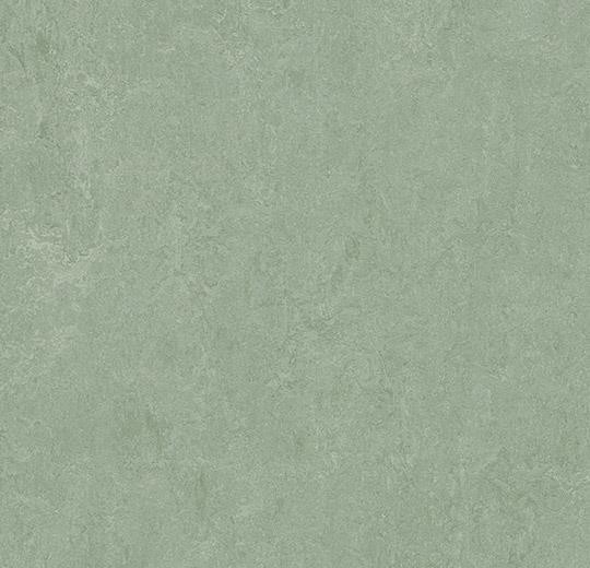 Forbo Marmoleum FRESCO - 3891 sage Linoleum Bahnenware 2,5 mm