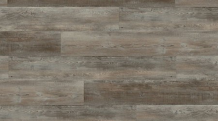 Objectflor - Expona Living Clic - Grey Washed Pine - 8119