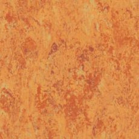 Tarkett Veneto xf² 3,2 mm - amber 14173636 Linoleum Bahnware