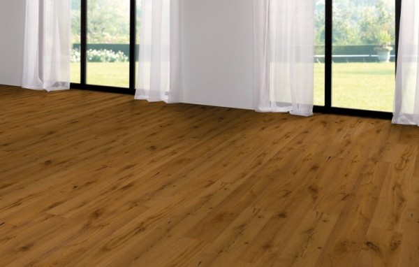 Wicanders | Manor House | Stafford | 82001127