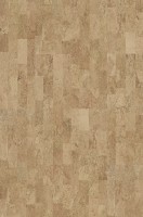 Identity Eden  Identity Eden