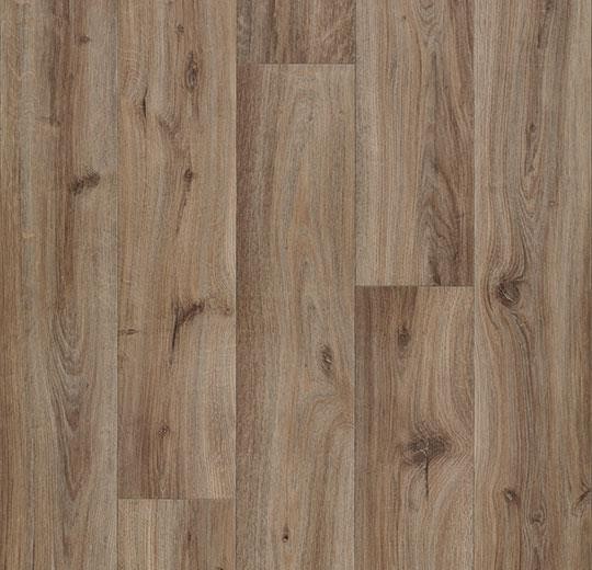 Vinylboden Forbo Eternal wood Bahnware - 10852 chocolate oak