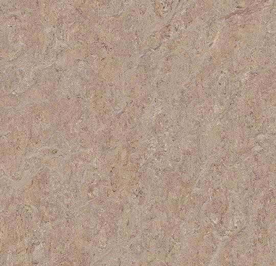 Forbo Marmoleum TERRA - 5803 weathered sand Linoleum Bahnenware 2,5 mm