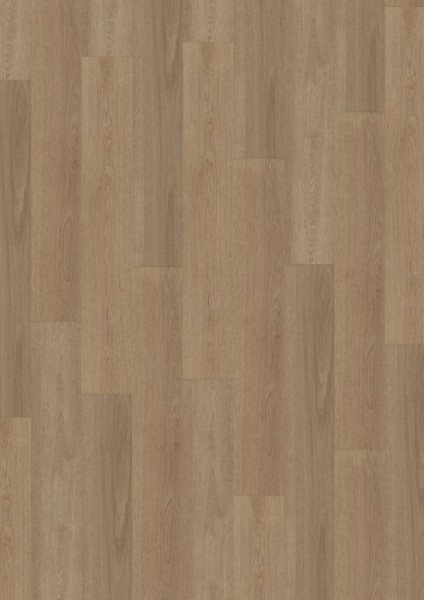 Expona Commercial - Farbe 4221 Harefield Oak