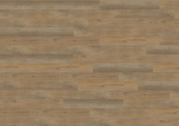 wineo 800 wood L - DB820WL Stockholm Oak Brown