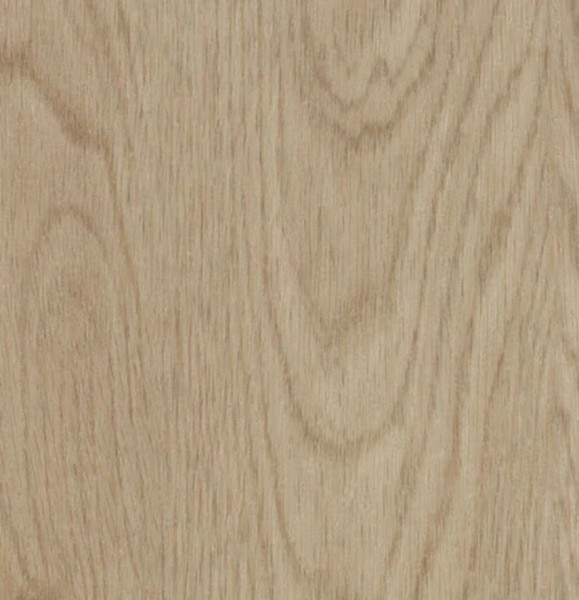 whitewash elegant oak