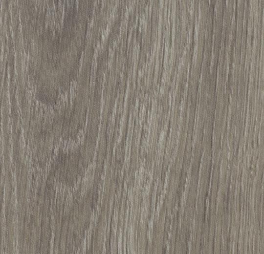 Forbo Allura Click 0,55 mm 60280CL5 grey giant oak wood Designplanken