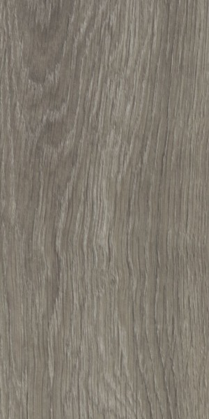 grey giant oak