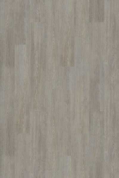 Wood steamed oak