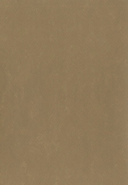 Gerflor DLW Lino Art Urban - 0576 Earth Clay