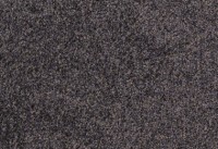 Teppichboden Fletco Zenith - 371350 Auslegware Teppichboden Fletco Zenith - 371350 Auslegware