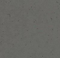 Forbo Sphera Energetic - Bahnenware - 50215 ebony Forbo Sphera Energetic - Bahnenware - 50215 ebony