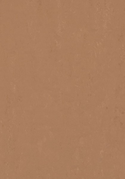 Forbo Marmoleum Modular - Farbe t3772 tiger's eye