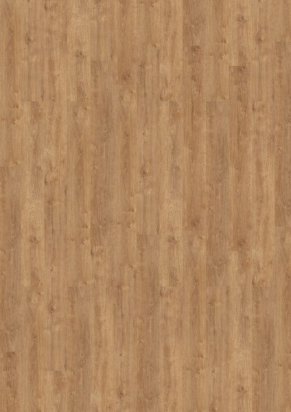 Expona Commercial - Farbe 4085 Light Classic Oak