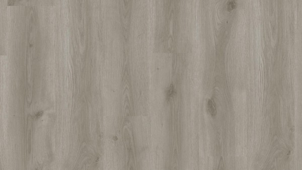 Tarkett ID CLASSICS 30 - Contemporary Oak Grey - Art. 261001002